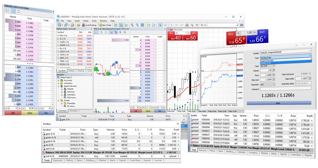 MT5联系我们 MQL5开发环境